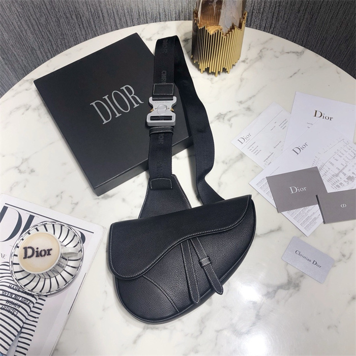 DIOR 디올 오블리크 새들백 M80011 2024/신상