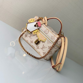 LOUIS VUITTON 루이비통 베니티 클러치백 M29782